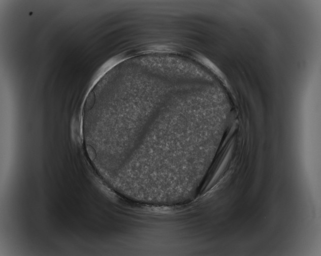 X0000082941370200703020118