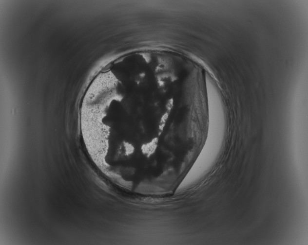 X0000082941371200703020118