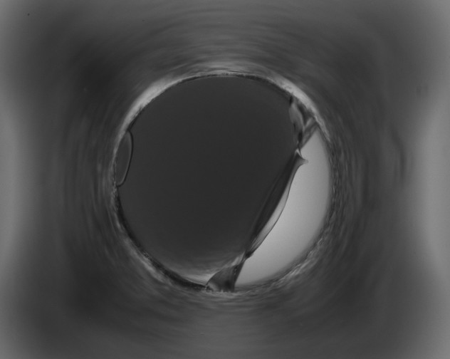 X0000082941373200703020118