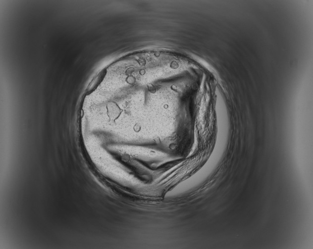 X0000082941375200703020118