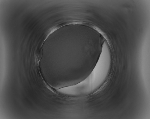 X0000082941377200703020118