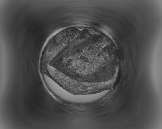 X0000082941379200703020118