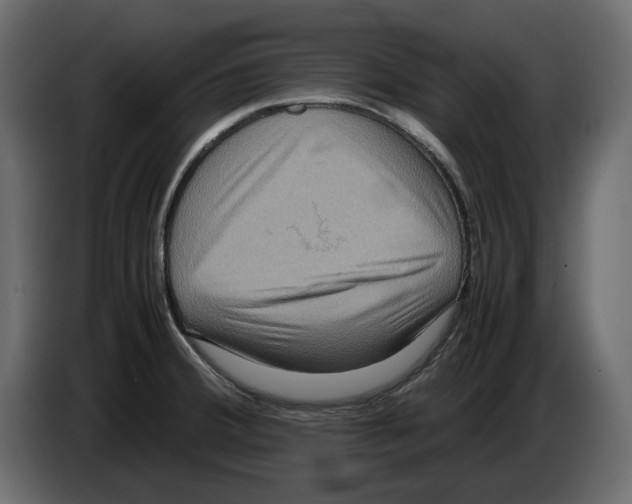 X0000082941380200703020118