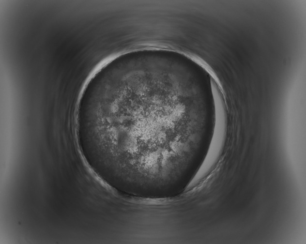 X0000082941381200703020118