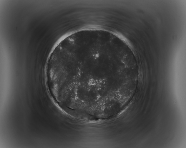 X0000082941382200703020118