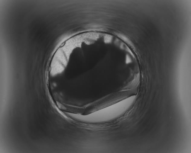 X0000082941383200703020118