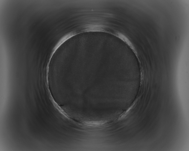 X0000082941386200703020118