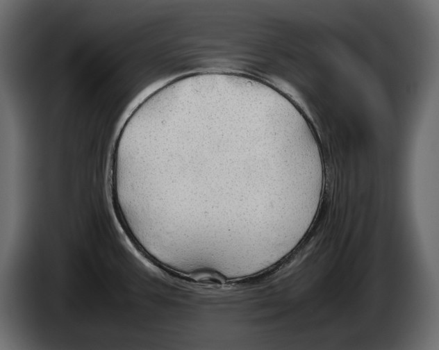 X0000082941387200703020118