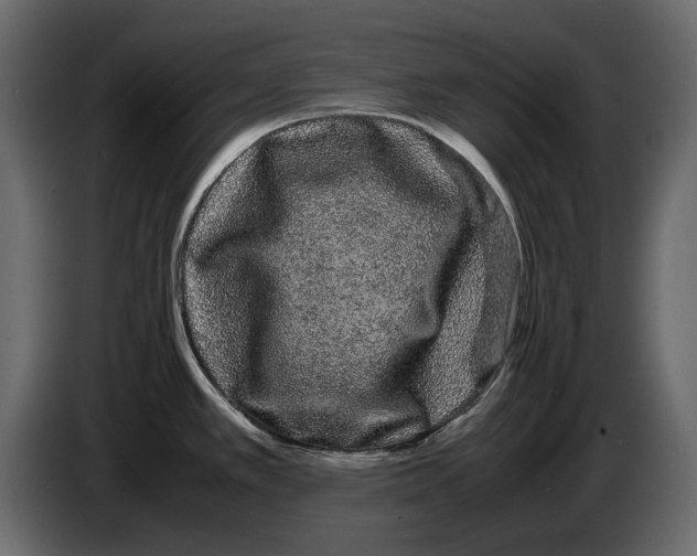 X0000082941389200703020118