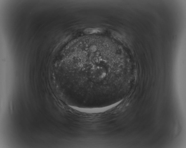 X0000082941393200703020117