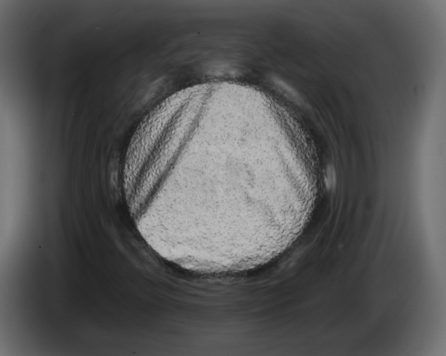 X0000082941396200703020117