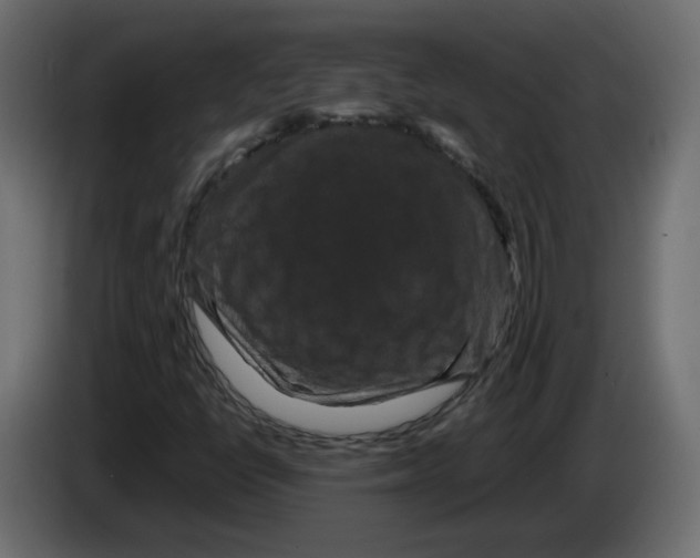 X0000082941398200703020117