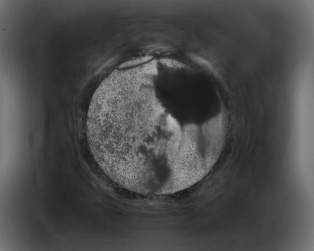 X0000082941399200703020117