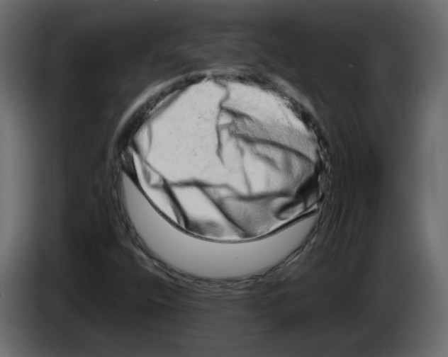 X0000082941400200703020117