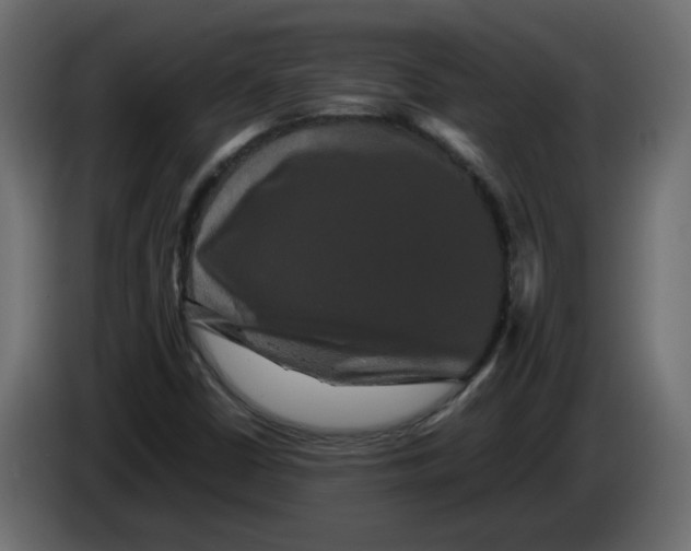 X0000082941402200703020117