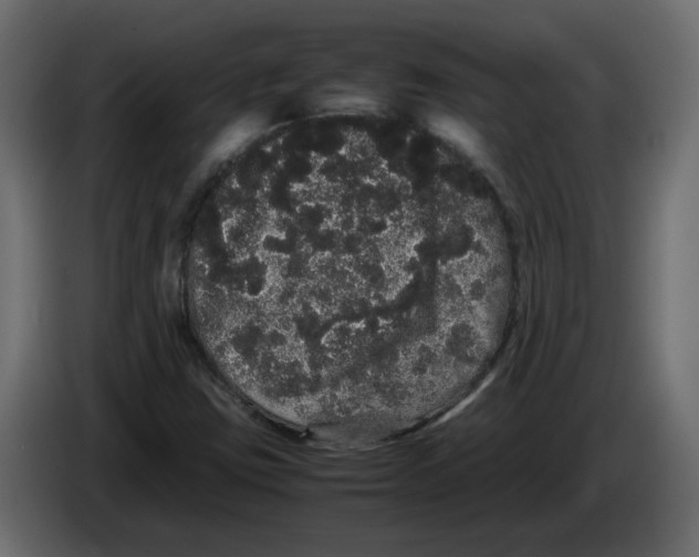 X0000082941403200703020117