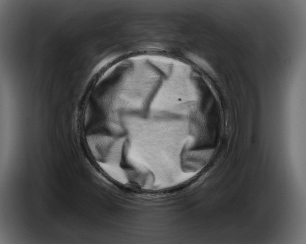 X0000082941404200703020117