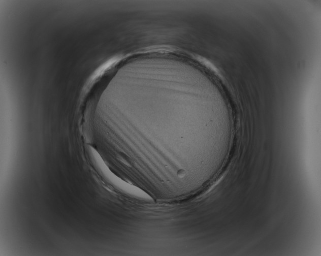 X0000082941406200703020117