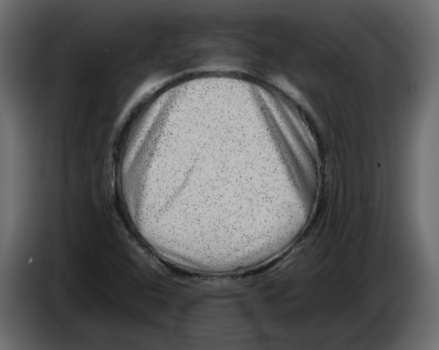 X0000082941408200703020117