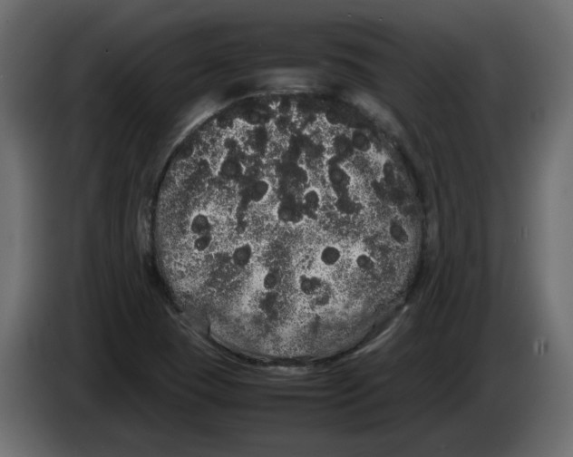 X0000082941409200703020117