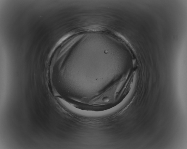 X0000082941410200703020117