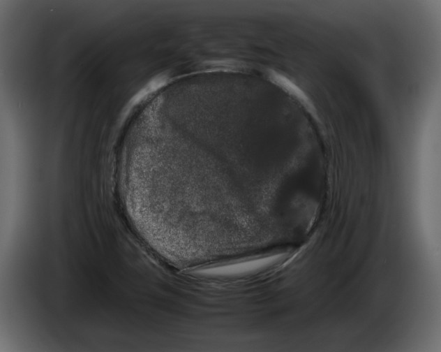 X0000082941411200703020117