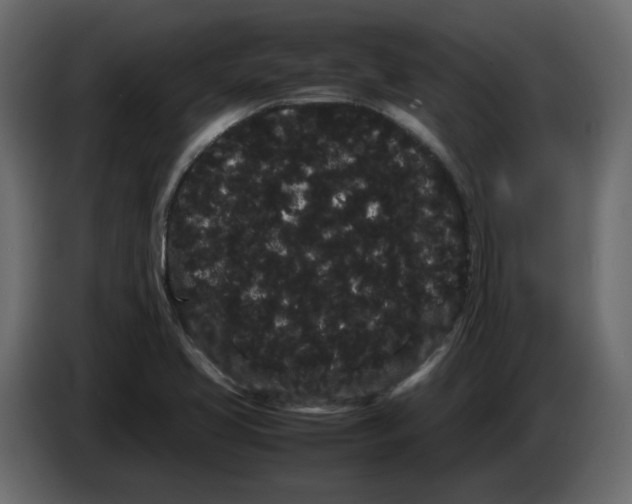 X0000082941413200703020117