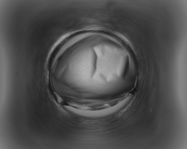 X0000082941414200703020117