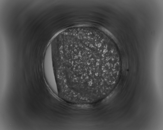 X0000082941417200703020117