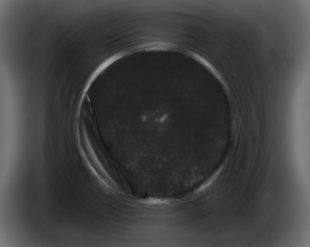 X0000082941418200703020117