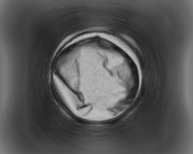 X0000082941420200703020117