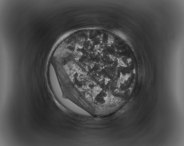 X0000082941421200703020117