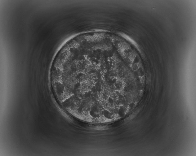 X0000082941423200703020117