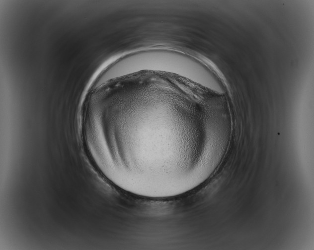 X0000082941424200703020117