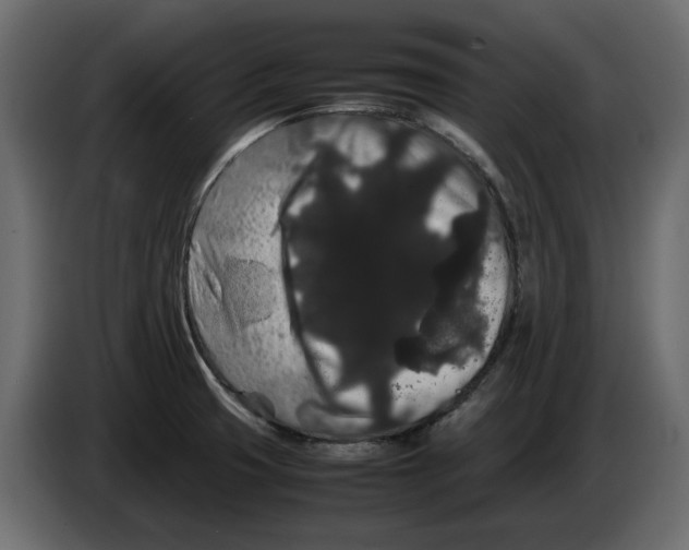 X0000082941425200703020117