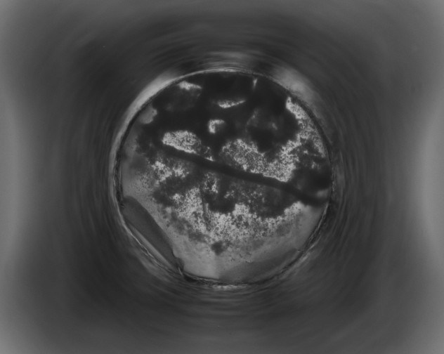 X0000082941427200703020117