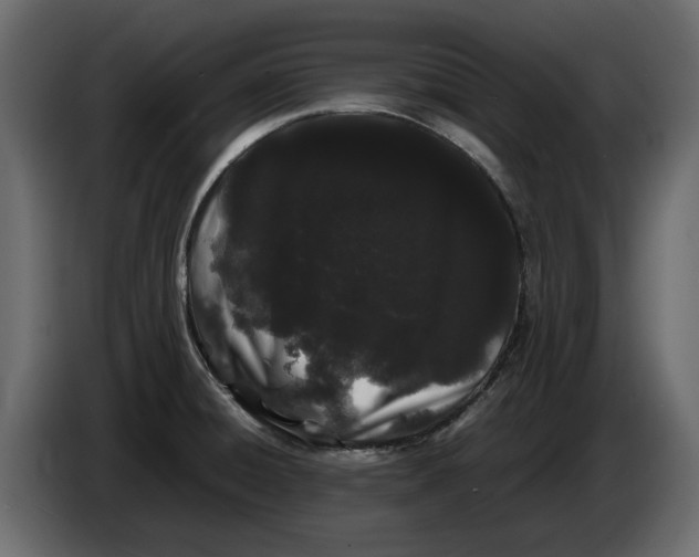 X0000082941428200703020117