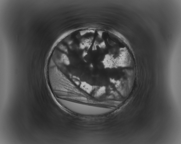 X0000082941429200703020117