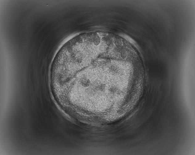 X0000082941431200703020117