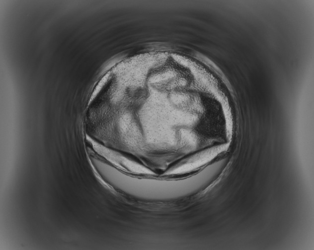 X0000082941433200703020117