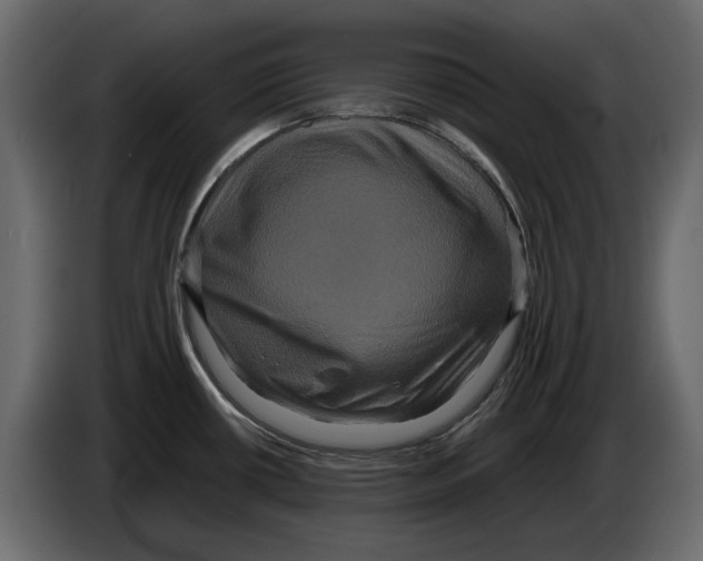 X0000082941434200703020117