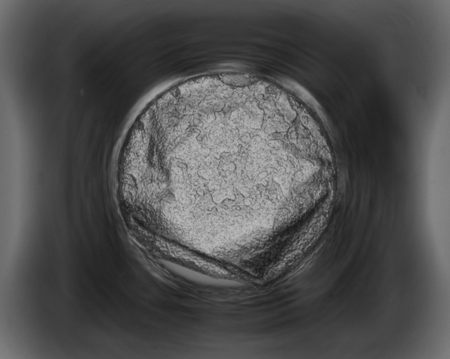 X0000082941435200703020117