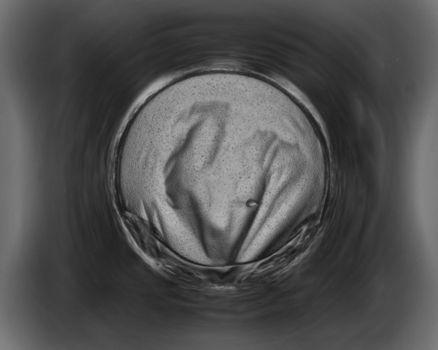 X0000082941437200703020117