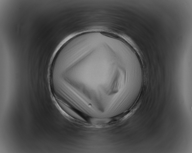 X0000082941438200703020117