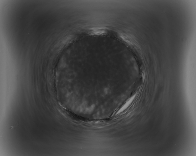 X0000082941441200703020117