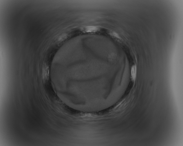 X0000082941443200703020117