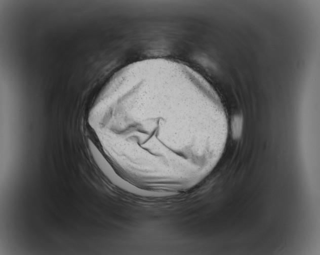 X0000082941444200703020117