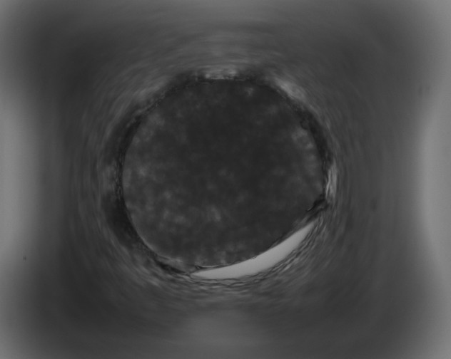 X0000082941445200703020117