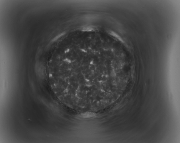 X0000082941446200703020117