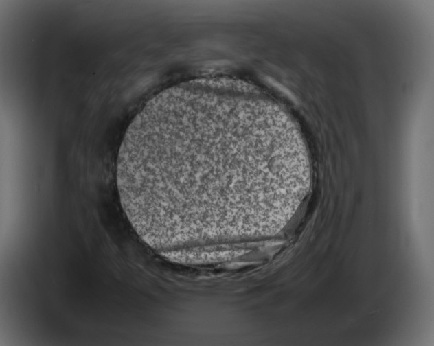 X0000082941447200703020117